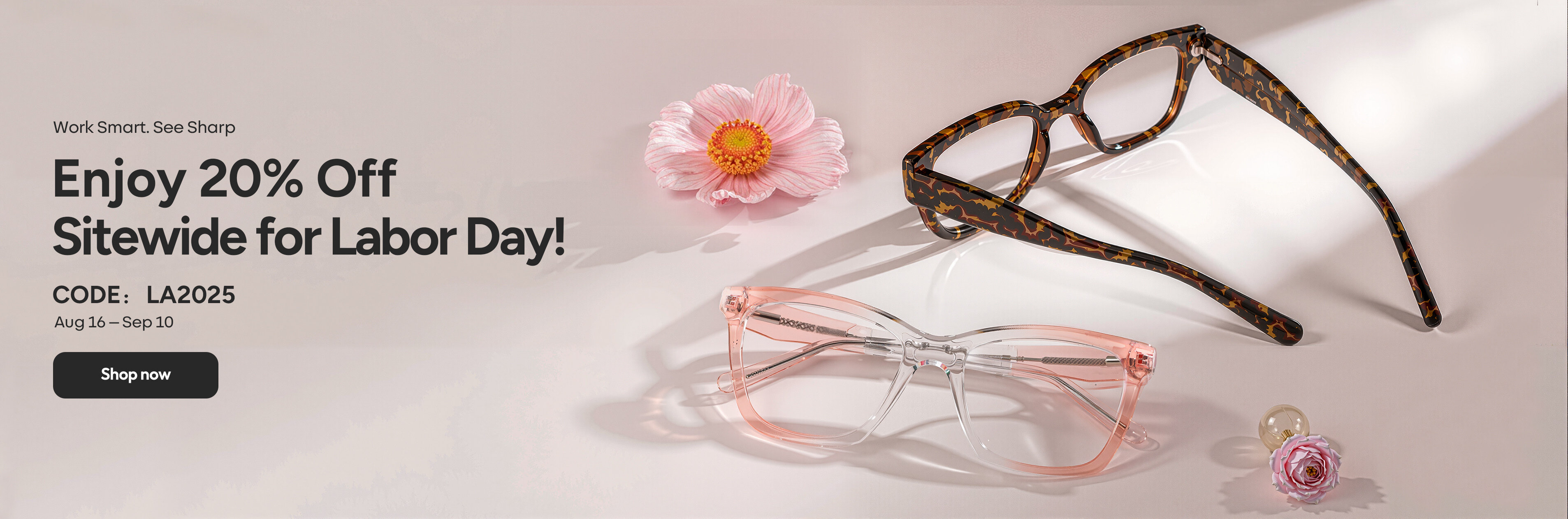 EFE glasses logo